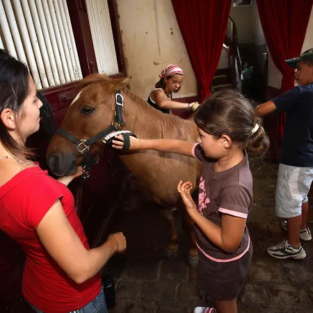 Hotel Mercure Sur Yon