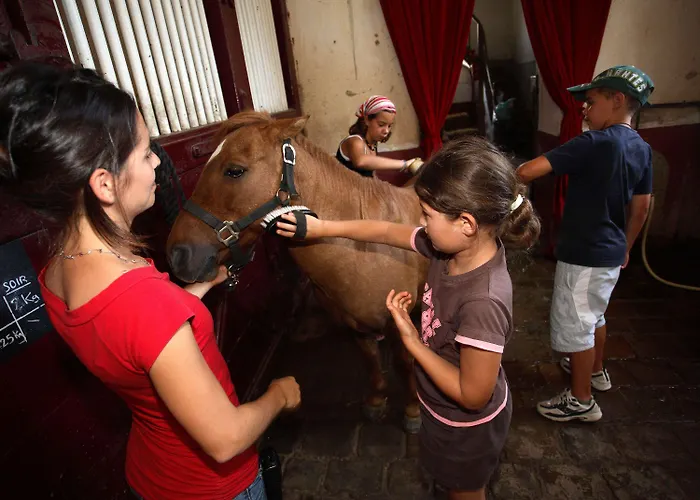 מלון Mercure Sur Yon